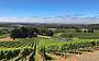Adelaide Hills Divine Wine Tour